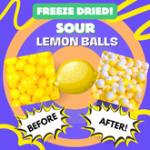 Freeze-Dried Sour Lemon Balls before and after freeze-drying process, showing bright yellow transformation.